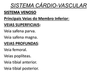 SISTEMA CÁRDIO-VASCULAR
SISTEMA VENOSO
Principais Veias do Membro Inferior:
VEIAS SUPERFICIAIS:
Veia safena parva.
Veia safena magna.
VEIAS PROFUNDAS:
Veia femoral.
Veias poplíteas.
Veia tibial anterior.
Veia tibial posterior.
 