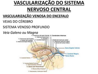 VASCULARIZAÇÃO DO SISTEMA
NERVOSO CENTRAL
VASCULARIZAÇÃO VENOSA DO ENCEFALO
VEIAS DO CÉREBRO
SISTEMA VENOSO PROFUNDO
Veia Galeno ou Magna
 
