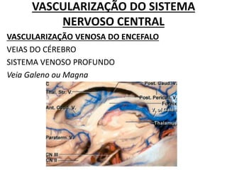 VASCULARIZAÇÃO DO SISTEMA
NERVOSO CENTRAL
VASCULARIZAÇÃO VENOSA DO ENCEFALO
VEIAS DO CÉREBRO
SISTEMA VENOSO PROFUNDO
Veia Galeno ou Magna
 