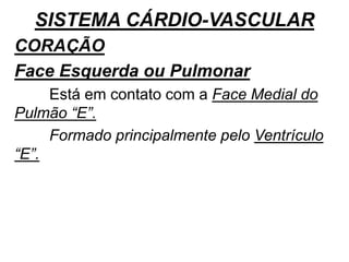 SISTEMA CÁRDIO-VASCULAR
CORAÇÃO
Face Esquerda ou Pulmonar
Está em contato com a Face Medial do
Pulmão “E”.
Formado principalmente pelo Ventrículo
“E”.
 