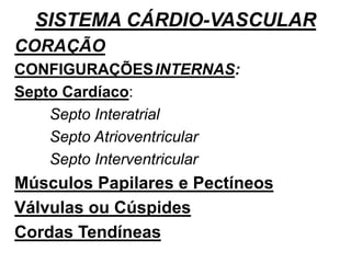 SISTEMA CÁRDIO-VASCULAR
CORAÇÃO
CONFIGURAÇÕESINTERNAS:
Septo Cardíaco:
Septo Interatrial
Septo Atrioventricular
Septo Interventricular
Músculos Papilares e Pectíneos
Válvulas ou Cúspides
Cordas Tendíneas
 