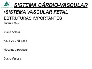 SISTEMA CÁRDIO-VASCULAR
•SISTEMA VASCULAR FETAL
ESTRUTURAS IMPORTANTES
Forame Oval
Ducto Arterial
Aa. e Vv Umbilicais
Placenta / Decídua
Ducto Venoso
 