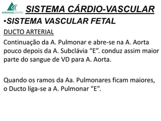 SISTEMA CÁRDIO-VASCULAR
•SISTEMA VASCULAR FETAL
DUCTO ARTERIAL
Continuação da A. Pulmonar e abre-se na A. Aorta
pouco depois da A. Subclávia “E”. conduz assim maior
parte do sangue de VD para A. Aorta.
Quando os ramos da Aa. Pulmonares ficam maiores,
o Ducto liga-se a A. Pulmonar “E”.
 