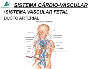 SISTEMA CÁRDIO-VASCULAR
•SISTEMA VASCULAR FETAL
DUCTO ARTERIAL
 
