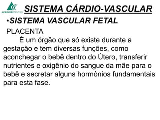 SISTEMA CÁRDIO-VASCULAR
•SISTEMA VASCULAR FETAL
PLACENTA
É um órgão que só existe durante a
gestação e tem diversas funções, como
aconchegar o bebê dentro do Útero, transferir
nutrientes e oxigênio do sangue da mãe para o
bebê e secretar alguns hormônios fundamentais
para esta fase.
 