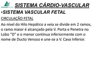 SISTEMA CÁRDIO-VASCULAR
•SISTEMA VASCULAR FETAL
CIRCULAÇÃO FETAL
Ao nível do Hilo Hepático a veia se divide em 2 ramos,
o ramo maior é alcançado pela V. Porta e Penetra no
Lobo “D” e o menor continua inferiormente com o
nome de Ducto Venoso e une-se a V. Cava Inferior.
 