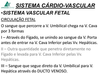 SISTEMA CÁRDIO-VASCULAR
•SISTEMA VASCULAR FETAL
CIRCULAÇÃO FETAL
O sangue que percorre a V. Umbilical chega na V. Cava
por 3 formas
I – Através do Fígado, se unindo ao sangue da V. Porta
antes de entrar na V. Cava Inferior pelas Vv. Hepáticas.
II – Outra quantidade que penetra diretamente no
Fígado e levada para V. Cava Inferior pelas Vv.
Hepáticas.
III – Sangue que segue direto da V. Umbilical para V.
Hepática através do DUCTO VENOSO.
 