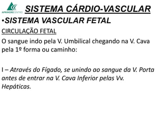 SISTEMA CÁRDIO-VASCULAR
•SISTEMA VASCULAR FETAL
CIRCULAÇÃO FETAL
O sangue indo pela V. Umbilical chegando na V. Cava
pela 1º forma ou caminho:
I – Através do Fígado, se unindo ao sangue da V. Porta
antes de entrar na V. Cava Inferior pelas Vv.
Hepáticas.
 