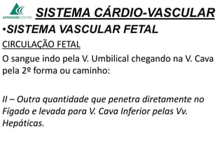 SISTEMA CÁRDIO-VASCULAR
•SISTEMA VASCULAR FETAL
CIRCULAÇÃO FETAL
O sangue indo pela V. Umbilical chegando na V. Cava
pela 2º forma ou caminho:
II – Outra quantidade que penetra diretamente no
Fígado e levada para V. Cava Inferior pelas Vv.
Hepáticas.
 