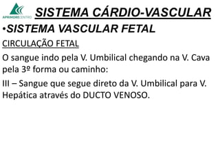 SISTEMA CÁRDIO-VASCULAR
•SISTEMA VASCULAR FETAL
CIRCULAÇÃO FETAL
O sangue indo pela V. Umbilical chegando na V. Cava
pela 3º forma ou caminho:
III – Sangue que segue direto da V. Umbilical para V.
Hepática através do DUCTO VENOSO.
 