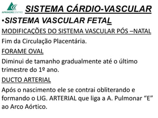 SISTEMA CÁRDIO-VASCULAR
•SISTEMA VASCULAR FETAL
MODIFICAÇÕES DO SISTEMA VASCULAR PÓS –NATAL
Fim da Circulação Placentária.
FORAME OVAL
Diminui de tamanho gradualmente até o último
trimestre do 1º ano.
DUCTO ARTERIAL
Após o nascimento ele se contrai obliterando e
formando o LIG. ARTERIAL que liga a A. Pulmonar “E”
ao Arco Aórtico.
 