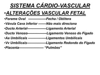 SISTEMA CÁRDIO-VASCULAR
•ALTERAÇÕES VASCULAR FETAL
•Forame Oval ----------------Fecha / Oblitera
•Vávula Cava inferior -------Não mais direciona
•Ducto Arterial-----------------Ligamento Arterial
•Ducto Venoso-----------------Ligamento Venoso do Fígado
•Aa Umbilicais ----------------Ligamentos Umbilicais
•Vv Umbilicais-----------------Ligamento Redondo do Fígado
•Placenta---------------------- “Pulmões”
 