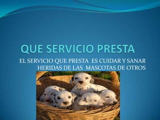 EL SERVICIO QUE PRESTA ES CUIDAR Y SANAR
      HERIDAS DE LAS MASCOTAS DE OTROS
 