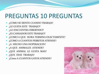 PREGUNTAS 10 PREGUNTAS
 ¿COMO SE SIENTE CUANDO TRABAJA?
 ¿LE GUSTA ESTE TRABAJO?
 ¿LO ENCUENTRA DIBERTIDO?
 ¿ES CANSADOR ESTE TRABAJO?
 ¿COMO A QUE HORA TERMINA EXACTAMENTE?
 ¿COMO A CUANTOS PERRITOS ATIENDE?
 ¿A HECHO UNA HOPERACION?
 ¿A QUE ANIMALES ATIENDE?
 ¿QUE ANIMAL LE GUSTA MAS?
 ¿QUE DIAS TRABAJA?
 ¿Cómo A CUANTOS GATOS ATIENDE?
 