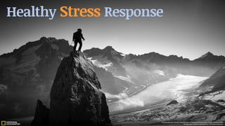 Healthy Stress Response
