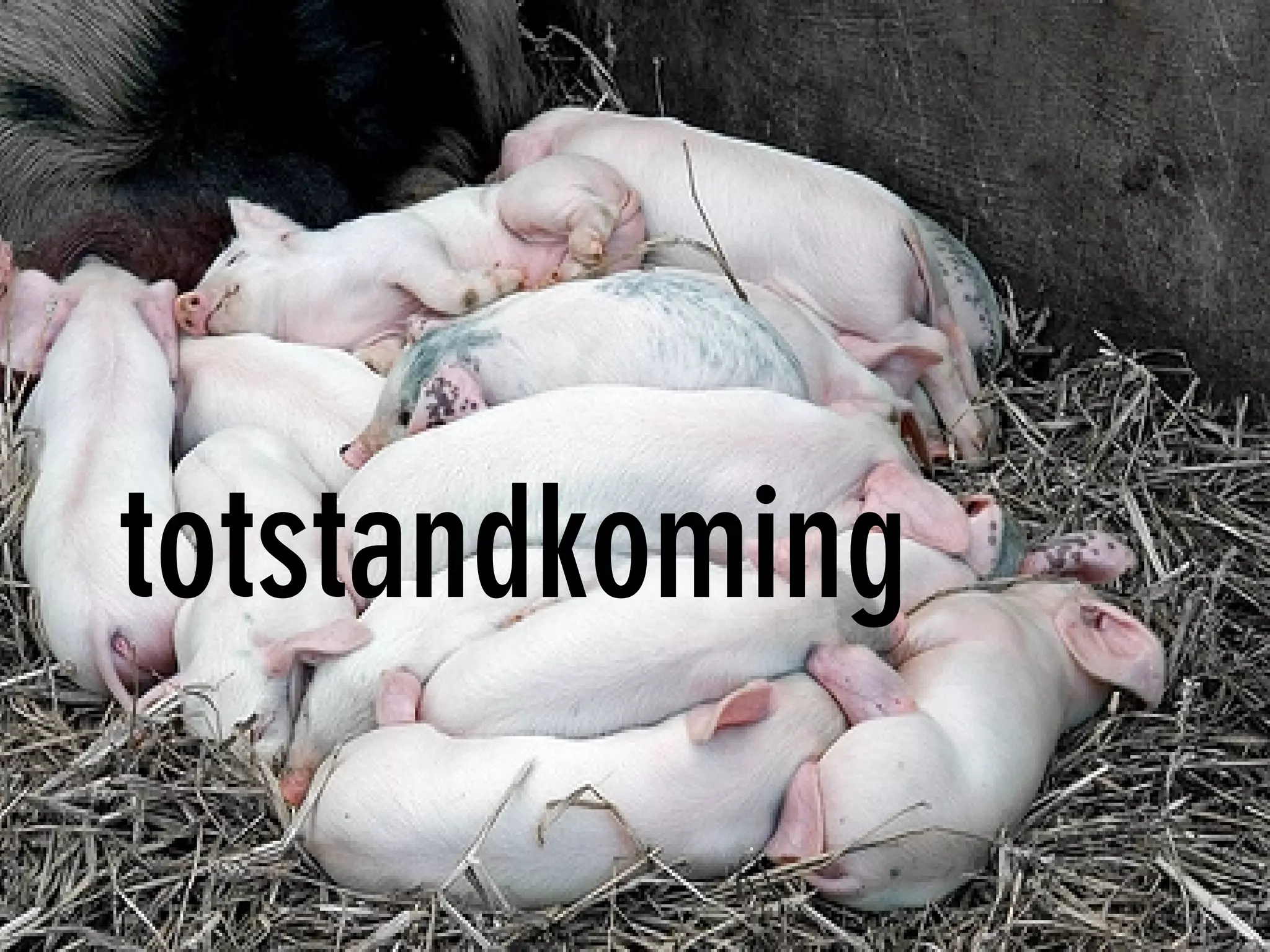 totstandkoming
 