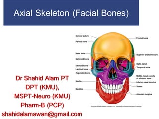 Axial Skeleton (Facial Bones)
Dr Shahid Alam PT
DPT (KMU),
MSPT-Neuro (KMU)
Pharm-B (PCP)
shahidalamawan@gmail.com
 