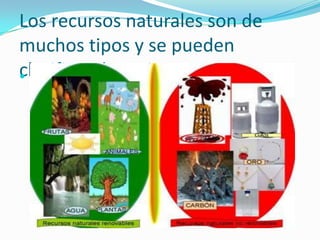 LOS TIPOS DE RECURSOSLos recursos naturales son los materiales de la naturaleza que los seres humanos pueden aprovechar para satisfacer sus necesidades (alimento, vestido, vivienda, educación, cultura, recreación, etc.). Los recursos naturales son la fuente de las materias primas (madera, minerales, petróleo, gas, carbón, etc.), que transformadas sirven para producir bienes muy diversos.