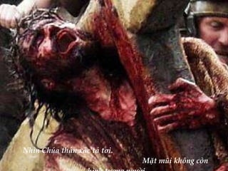 Nhìn Chúa thân xác tả tơi.  Mặt mũi không còn hình tượng người.   
