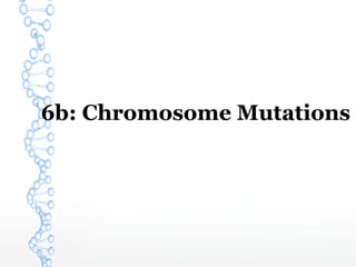 6b: Chromosome Mutations 
 