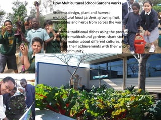 How Multicultural School Gardens works
Students design, plant and harvest
multicultural food gardens, growing fruit,
vegetables and herbs from across the world.
They cook traditional dishes using the produce
from their multicultural gardens, share stories
and information about different cultures, and
celebrate their achievements with their whole
school community.
 
