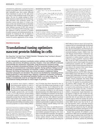submitted for publication, a preprint has been
posted on the bioRxiv web server showing that a
split Cas9-gRNA gene drive system efficiently
biases inheritance in yeast (6). The split system
was used to avoid accidental escape of the gene
drives. The use of a similar strategy in future
MCR organisms would reduce, but not eliminate,
risks associated with accidental release. We
therefore concur with others (7, 8) that a dia-
logue on this topic should become an immediate
high-priority issue. Perhaps, by analogy to the fa-
mous Asilomar meeting of 1975 that assessed
the risks of recombinant DNA technology, a sim-
ilar conference could be convened to consider
biosafety measures and institutional policies ap-
propriate for limiting the risk of engaging in
MCR research while affording workable oppor-
tunities for positive applications of this concept.
REFERENCES AND NOTES
1. F. Zhang, Y. Wen, X. Guo, Hum. Mol. Genet. 23, R40–R46
(2014).
2. P. D. Hsu, E. S. Lander, F. Zhang, Cell 157, 1262–1278 (2014).
3. F. Port, H. M. Chen, T. Lee, S. L. Bullock, Proc. Natl. Acad. Sci.
U.S.A. 111, E2967–E2976 (2014).
4. S. J. Gratz et al., Genetics 196, 961–971 (2014).
5. A. R. Bassett, C. Tibbit, C. P. Ponting, J. L. Liu, Cell Rep. 4,
220–228 (2013).
6. J. E. DiCarlo, A. Chavez, S. L. Dietz, K. M. Esvelt, G. M. Church,
http://biorxiv.org/content/early/2015/01/16/013896 (2015).
7. K. A. Oye et al., Science 345, 626–628 (2014).
8. K. M. Esvelt, A. L. Smidler, F. Catteruccia, G. M. Church, eLife
10.7554/eLife.03401 (2014).
ACKNOWLEDGMENTS
We thank M. Yanofsky, W. McGinnis, S. Wasserman, R. Kolodner,
H. Bellen, and members of the Bier lab for helpful discussions
and comments on the manuscript; M. Harrison, K. O’Connor-Giles,
J. Wildonger, and S. Bullock for providing CRISPR/Cas9 reagents
and information; and J. Vinetz and A. Lubar for granting us
access to their BSL2 Insectary. Supported by NIH grants R01
GM067247 and R56 NS029870 and by a generous gift from
S. Sandell and M. Marshall. E.B. and V.M.G. are authors on a
patent applied for by the University of California, San Diego
(provisional patent application number 62075534) that relates
to the mutagenic chain reaction. MCR fly stocks and DNA
constructs are available from E.B. under a material transfer
agreement from UCSD. This protocol for use and containment
of our MCR stocks in a BSL2 barrier insectary also used for
containment of malaria-infected mosquitos was reviewed and
approved by the UCSD Institutional Biosafety Committee (BUA R461).
SUPPLEMENTARY MATERIALS
www.sciencemag.org/content/348/6233/442/suppl/DC1
Materials and Methods
Supplementary Text
Fig. S1
Table S1
31 December 2014; accepted 10 March 2015
Published online 19 March 2015;
10.1126/science.aaa5945
PROTEIN FOLDING
Translational tuning optimizes
nascent protein folding in cells
Soo Jung Kim,1
Jae Seok Yoon,1
Hideki Shishido,1
Zhongying Yang,1
LeeAnn A. Rooney,1
Jose M. Barral,2,3
William R. Skach1,4
*
In cells, biosynthetic machinery coordinates protein synthesis and folding to optimize
efficiency and minimize off-pathway outcomes. However, it has been difficult to delineate
experimentally the mechanisms responsible. Using fluorescence resonance energy
transfer, we studied cotranslational folding of the first nucleotide-binding domain from the
cystic fibrosis transmembrane conductance regulator. During synthesis, folding occurred
discretely via sequential compaction of N-terminal, a-helical, and a/b-core subdomains.
Moreover, the timing of these events was critical; premature a-subdomain folding
prevented subsequent core formation. This process was facilitated by modulating intrinsic
folding propensity in three distinct ways: delaying a-subdomain compaction, facilitating
b-strand intercalation, and optimizing translation kinetics via codon usage. Thus, de novo
folding is translationally tuned by an integrated cellular response that shapes the
cotranslational folding landscape at critical stages of synthesis.
M
ost proteins must acquire a defined
three-dimensional structure in order to
function. Folding pathways that gener-
ate these structures have primarily been
characterized by using model substrates
that fold rapidly, spontaneously, and reversibly
in vitro (1, 2). In cells, however, protein folding
is kinetically coupled to synthesis as the nascent
polypeptide emerges from the ribosome. Whereas
certain small proteins may remain unstructured
during synthesis (3), many complex proteins ex-
hibit length-dependent foldingintermediates whose
structural properties (4) and/or folding efficien-
cies (5) deviate from those observed in vitro. In
such cases, the folding energy landscape, as well
as folding outcome, can be influenced by ribo-
some effects (4, 6, 7), polypeptide elongation rate
(8–10), molecular crowding (11, 12), and cotrans-
lationalinteractions with cellularchaperones (13,14).
Indeed, cotranslational constraints can bias kinet-
ically competing folding events to generate alter-
nate stable structures with different functional
properties (8, 15, 16). Despite improved compu-
tational methods, few principles have been es-
tablishedexperimentallytoexplainhow biosynthetic
parameters influence specific folding events and
outcome (3, 4, 17–19).
To address this issue, we used fluorescence
resonance energy transfer (FRET) to examine
structural transitions of ribosome-bound folding
intermediates generated through in vitro trans-
lation of truncated RNA transcripts. This approach
derives from the principle that during folding,
certain residues distant in primary structure
are brought into close proximity, increasing the
FRET efficiency between donor and acceptor flu-
orophores that are cotranslationally incorporated
into the nascent polypeptide (Fig. 1A) (18, 19).
Here, the donor fluorophore, cyan fluorescent pro-
tein (CFP), was fused to the N terminus of the first
nucleotide-binding domain (NBD1) from the
cystic fibrosis transmembrane conductance reg-
ulator (CFTR), and a small acceptor dye was in-
corporated at surface-exposed residues (UAG
codons) by using a synthetic suppressor tRNA
(figs. S1 and S2). FRET measurements obtained
at sequential nascent chain lengths thus provide
conformational snapshots into the equilibrium
ensemble of stably arrested ribosome-bound nas-
cent chains in the context of their native biosyn-
thetic machinery (Fig. 1A) (3, 17–20).
Using this system, we defined the cotransla-
tional folding pathway of CFTR NBD1, whose de-
fective folding causes cystic fibrosis (21–24). NBD1
contains three subdomains (N-terminal, a-helical,
and parallel-F1-type-b-sheet core) and exhibits a
complex vectoral topography that limits CFTR
maturation (22, 25) and prevents reversible fold-
ing in vitro. To examine its cotranslational fold-
ing pathway, FRET acceptor sites were chosen
within 4 to 9 Å of the CFP fusion (Thr389
) (26)
to report on the positioning of strands S3, S6,
S7, and S8 in the b-sheet core (Fig. 1, B and C).
Analysis of sequentially stalled polypeptides
yielded a characteristic length-dependent rise
and plateau in FRET for each acceptor site (Fig.
1D). This rise in FRET reports on acquisition of a
native-like fold (19) and reflects the earliest bio-
synthetic stage at which the acceptor dye and its
corresponding b-strand are optimally positioned
within NBD1. Results show that S3, S6, S7, and
S8 could therefore reach a native-like structure
when the ribosome has synthesized residues 550,
624, 654, and 674, respectively (Fig. 1D), although
actual folding intermediates will depend on rela-
tive folding kinetics and translation elongation rate.
Despite their proximity, S6 exhibited a more
gradual rise in FRET and was optimally positioned
at a later stage of synthesis than was S3 (Fig. 1D).
Because the ribosome exit tunnel sequesters ap-
proximately 40 residues, optimal S6 positioning
444 24 APRIL 2015 • VOL 348 ISSUE 6233 sciencemag.org SCIENCE
1
Department of Biochemistry and Molecular Biology, Oregon
Health and Science University (OHSU), Portland, OR 97239,
USA. 2
Department of Neuroscience and Cell Biology,
University of Texas Medical Branch, Galveston, TX 77550-
0620, USA. 3
Department of Biochemistry and Molecular
Biology, University of Texas Medical Branch, Galveston, TX
77550-0620, USA. 4
Cystic Fibrosis Foundation Therapeutics,
Bethesda, MD 20814, USA.
*Corresponding author. E-mail: skachw@ohsu.edu
RESEARCH | REPORTS
 