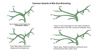 Comprehensive Imaging and RADIOLOGY of the Biliary Tract | PPTX