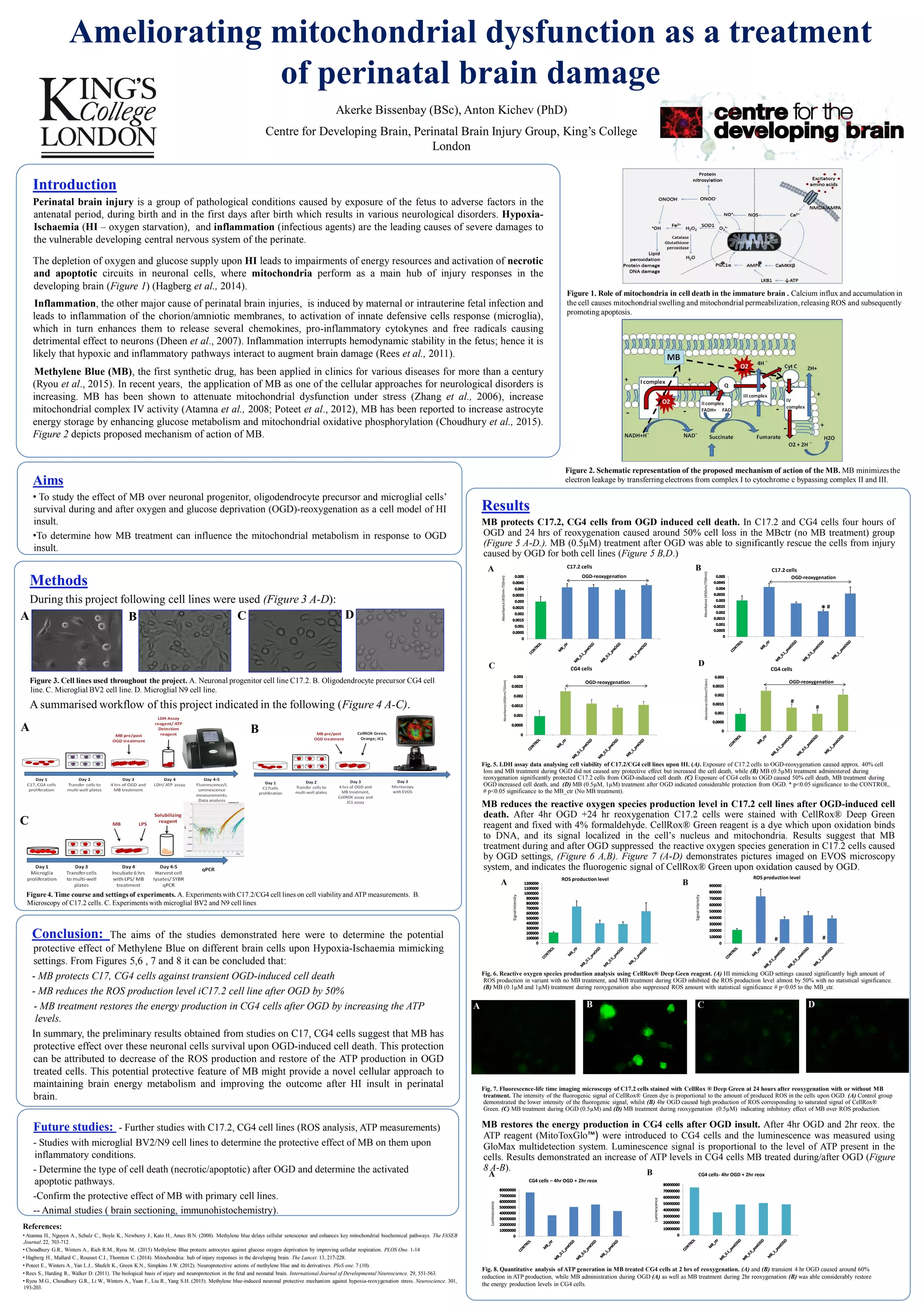 Ameliorating mitochondrial dysfunction as a treatment of perinatal | PDF