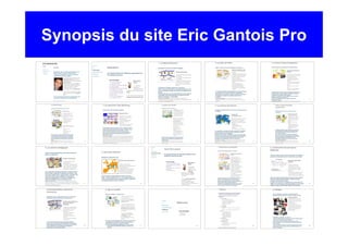 Synopsis du site Eric Gantois Pro 
