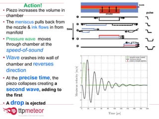 Action!
• Piezo increases the volume in
chamber
• The meniscus pulls back from
the nozzle & ink flows in from
manifold
• Pressure wave moves
through chamber at the
speed-of-sound
• Wave crashes into wall of
chamber and reverses
direction
• At the precise time, the
piezo collapses creating a
second wave, adding to
the first
• A drop is ejected
 
