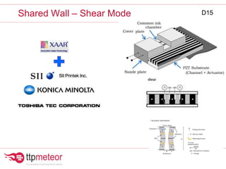 Shared Wall – Shear Mode D15
 
