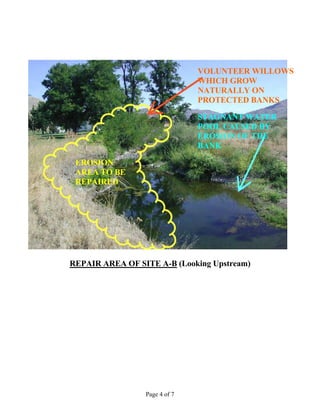 Page 4 of 7
VOLUNTEER WILLOWS
WHICH GROW
NATURALLY ON
PROTECTED BANKS
STAGNANT WATER
POOL CAUSED BY
EROSION OF THE
BANK
EROSION
AREA TO BE
REPAIRED
REPAIR AREA OF SITE A-B (Looking Upstream)
 