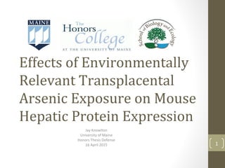 Effects of Environmentally
Relevant Transplacental
Arsenic Exposure on Mouse
Hepatic Protein Expression
Jay Knowlton
University of Maine
Honors Thesis Defense
16 April 2015 1
 