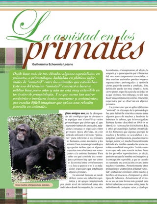 ¿cómoves?22
¿Son amigos ese par de chimpan-
cés del zoológico que se abrazan o
se espulgan uno al otro? Hay varios
primatólogos que dirían que sí, que
es posible hablar de amistades, rela-
ciones cercanas o especiales entre
primates (para abreviar, en este
artículo utilizaré el término “prima-
tes” para referirme a los primates
no humanos, como los monos y los
simios). Esos mismos primatólogos
agregarían incluso que en algunas
especies esas relaciones son seme-
jantes a la amistad humana. Para
saber en qué consiste esa seme-
janza primero hay que ver cómo
es la amistad entre seres humanos
y si ésta se parece o no a las rela-
ciones especiales que establecen
algunos primates.
La amistad humana se puede
definir como una relación equi-
tativa y de apoyo caracterizada
por cierto nivel de intimidad entre dos
individuos donde la compañía, la cercanía,
a amistad en
Desde hace más de tres décadas algunos especialistas en
primates, o primatólogos, hablaban en pláticas infor-
males de “amistad” entre los animales que estudiaban.
Este uso del término “amistad” comenzó a hacerse
público hace pocos años y aún no está muy extendido en
los textos de primatología. Y es que suena tan antro-
pocéntrico e involucra tantas emociones y sentimientos,
que resulta difícil imaginar que exista una relación
parecida en animales.
Guillermina Echeverría Lozano
los
la confianza, el compromiso, el afecto, la
simpatía y la preocupación por el bienestar
del otro son componentes esenciales, si
bien muchas amistades pueden soportar
separaciones prolongadas y también
cierto grado de tensión y conflicto. Esta
definición puede ser muy simple y, hasta
cierto punto, específica para la sociedad en
la que vivimos. Sin embargo, es útil para
hacer una comparación con las relaciones
especiales que se observan en algunos
primates.
La primera vez que se aplicó el término
“amistad” en el campo de la primatología
fue para definir la relación existente entre
algunos pares de machos y hembras de
babuinos de sabana, que la investigadora
Barbara Scmuts describió en 1985 en su
libro Sexo y amistad en los babuinos. Ella
y otros primatólogos habían observado
en los babuinos que algunas parejas de
machos y hembras se acicalaban o es-
pulgaban con frecuencia, pasaban mucho
tiempo juntos y el macho frecuentemente
defendía a la hembra cuando ésta se encon-
traba en medio de una pelea. Lo interesan-
te era que todo esto ocurría incluso fuera
de los periodos reproductivos, es decir,
periodos en que la hembra está receptiva y
la concepción es posible, y que es cuando
se esperaría una asociación cercana entre
machos y hembras. Posteriormente otros
primatólogos se atrevieron a llamar “amis-
tad” a relaciones similares entre machos y
hembras de macacos, chimpancés y otros
tipos de babuinos. Actualmente el térmi-
no se usa de una forma más general para
definir relaciones cercanas entre pares de
individuos de cualquier sexo y edad que
Unos machos chimpancés se acicalan.
Foto:www.psych.ucsb.edu
L
¿cómoves?22
 