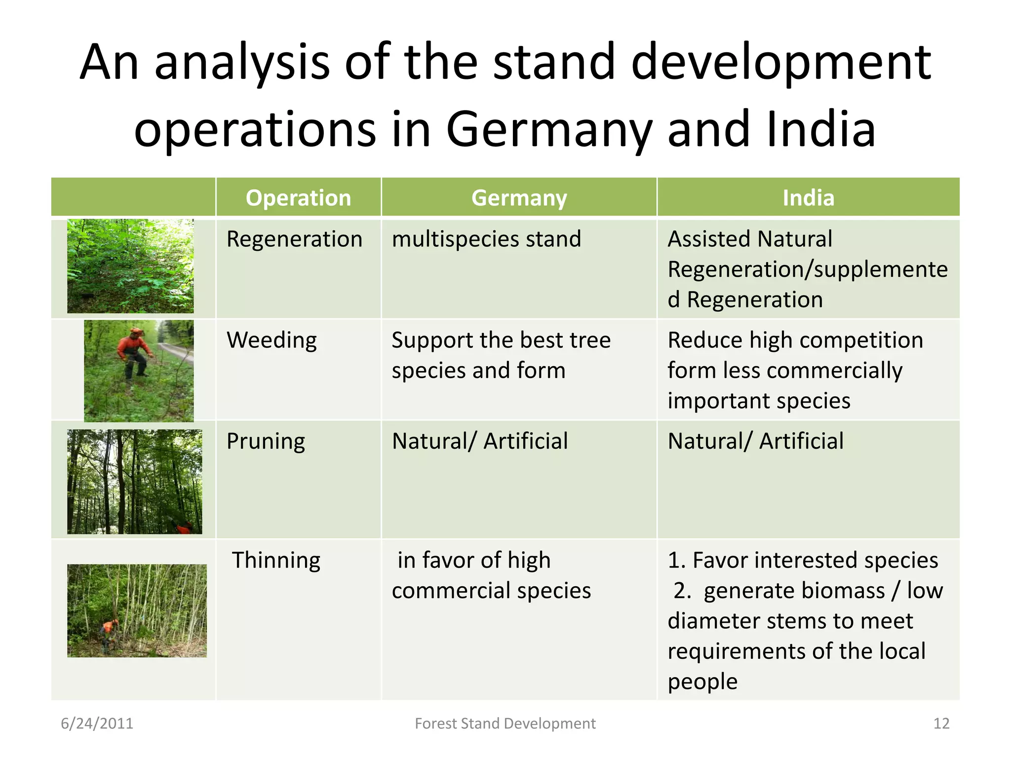 A comparative analysis of stand development and | PDF