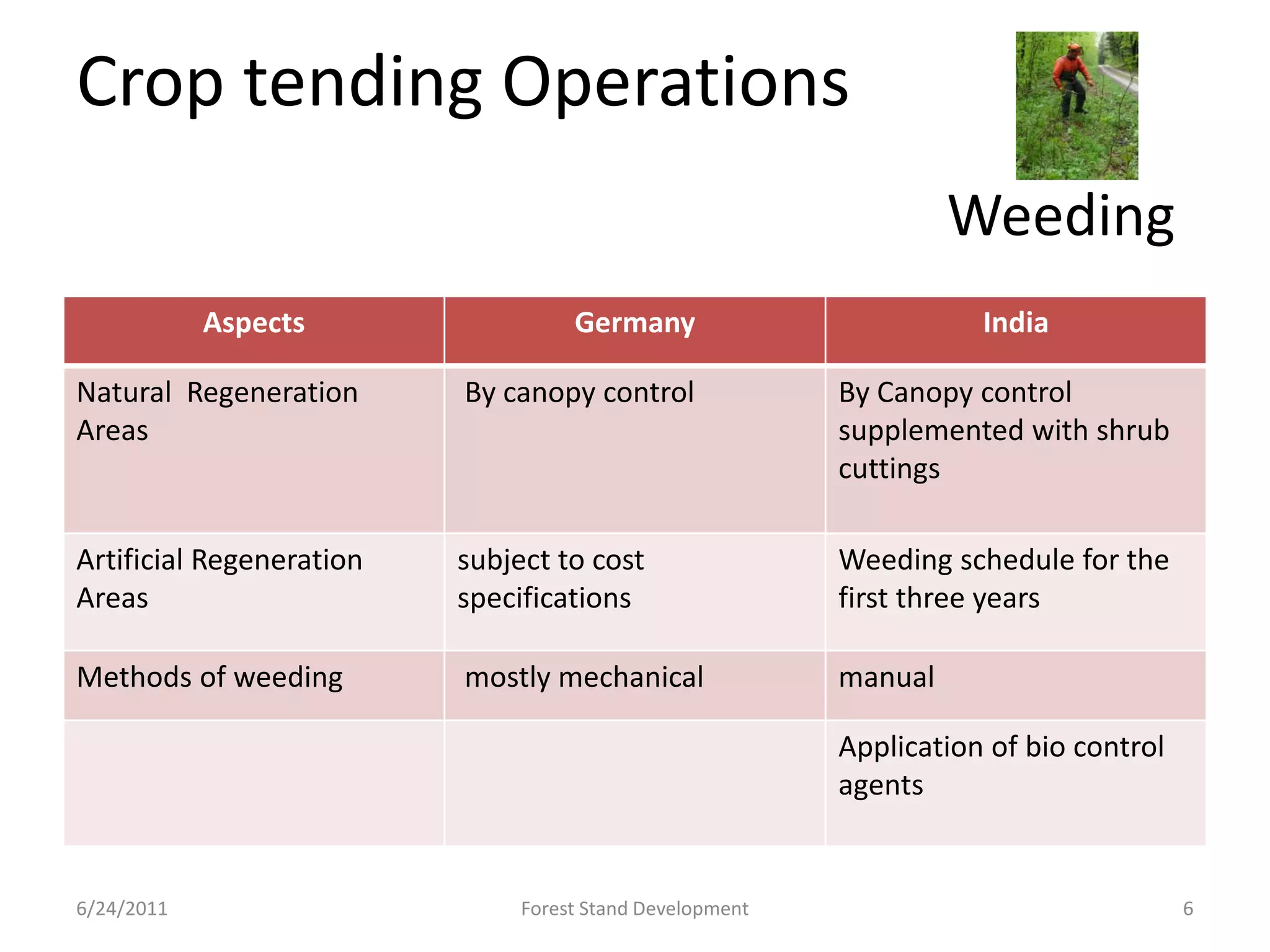 A comparative analysis of stand development and | PDF