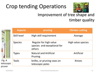 Crop tending Operations
Aspects pruning Climber cutting
Skill level High skill requirement Average
Species Regular for high value
species and exceptional for
others
High value species
Types Natural and Artificial
Pruning
Artificial
Tools knifes, or pruning saws on
telescopic poles
Knives
Improvement of tree shape and
timber quality
6/24/2011 11Forest Stand Development
Fig. A
telescopic
pruner
 