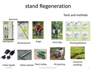 stand Regeneration
Buchenbuuhl
Hohlspaten Auger Carry bag
Pit plantingIndian Spade
Container
seedlings
Planting Method
Indian pickaxe Plant trolley
Tools and methods
6/24/2011 5Forest Stand Development
Germany
 