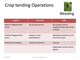 Crop tending Operations
Aspects Germany India
Natural Regeneration
Areas
By canopy control By Canopy control
supplemented with shrub
cuttings
Artificial Regeneration
Areas
subject to cost
specifications
Weeding schedule for the
first three years
Methods of weeding mostly mechanical manual
Application of bio control
agents
Weeding
6/24/2011 6Forest Stand Development
 