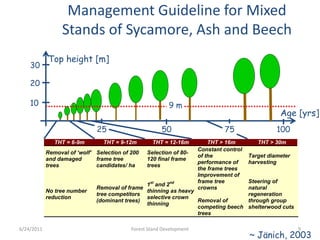 THT = 6-9m THT = 9-12m THT = 12-16m THT > 16m THT > 30m
Removal of ‘wolf’
and damaged
trees
Selection of 200
frame tree
candidates/ ha
Selection of 80-
120 final frame
trees
Constant control
of the
performance of
the frame trees
Target diameter
harvesting
No tree number
reduction
Removal of frame
tree competitors
(dominant trees)
1st
and 2nd
thinning as heavy
selective crown
thinning
Improvement of
frame tree
crowns
Removal of
competing beech
trees
Steering of
natural
regeneration
through group
shelterwood cuts
~ Jänich, 2003
Management Guideline for Mixed
Stands of Sycamore, Ash and Beech
10
20
30
50 100
9 m
25 75
Age [yrs]
Top height [m]
6/24/2011 9Forest Stand Development
 