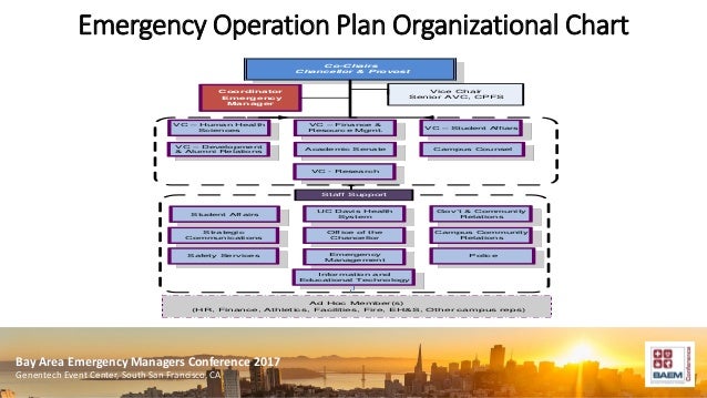 Genentech Organizational Chart