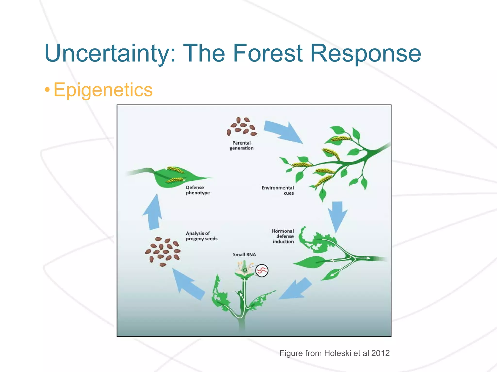 Uncertainty: The Forest Response
•Epigenetics
Figure from Holeski et al 2012
 