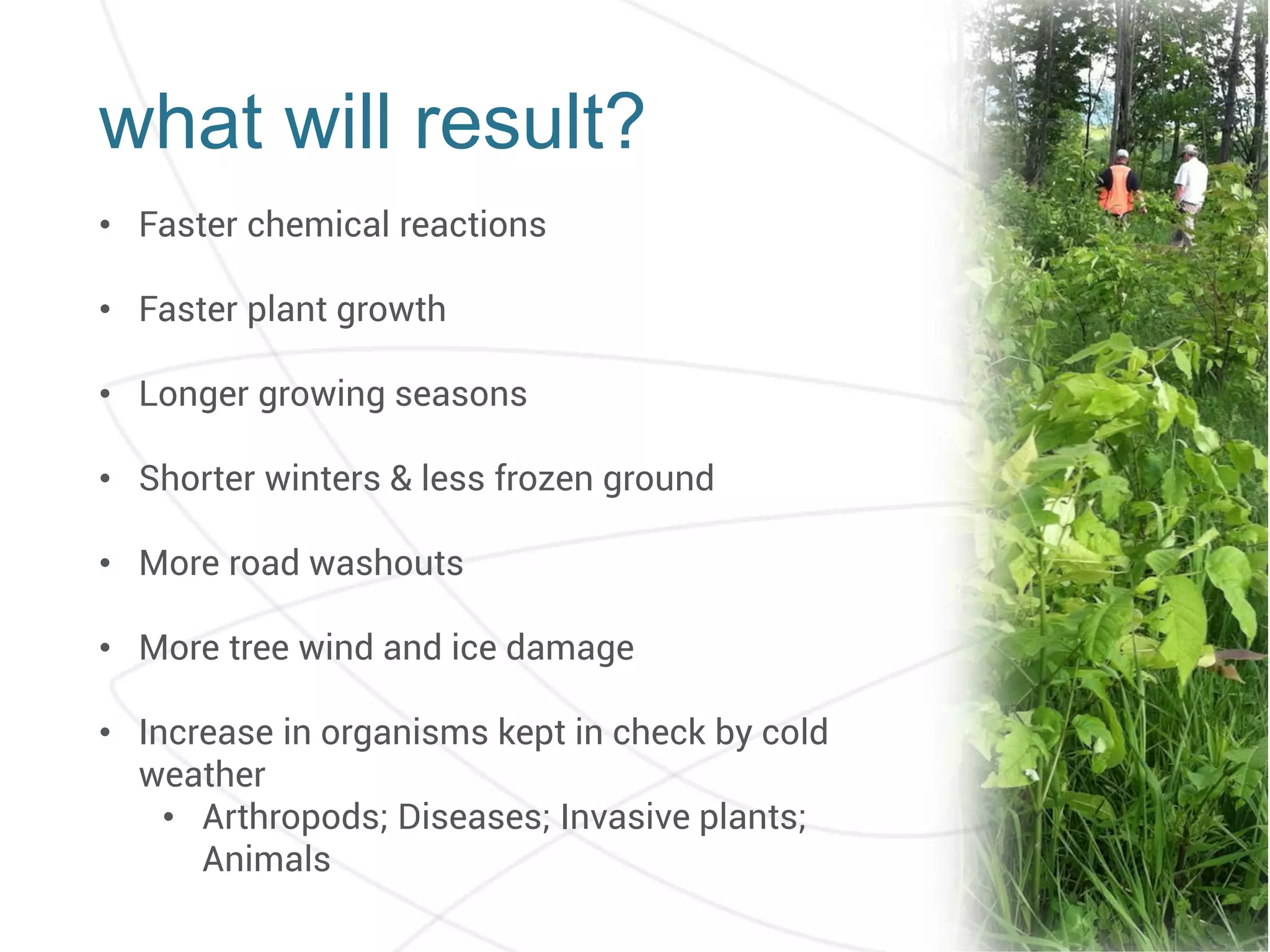 • Faster chemical reactions
• Faster plant growth
• Longer growing seasons
• Shorter winters & less frozen ground
• More road washouts
• More tree wind and ice damage
• Increase in organisms kept in check by cold
weather
• Arthropods; Diseases; Invasive plants;
Animals
what will result?
 