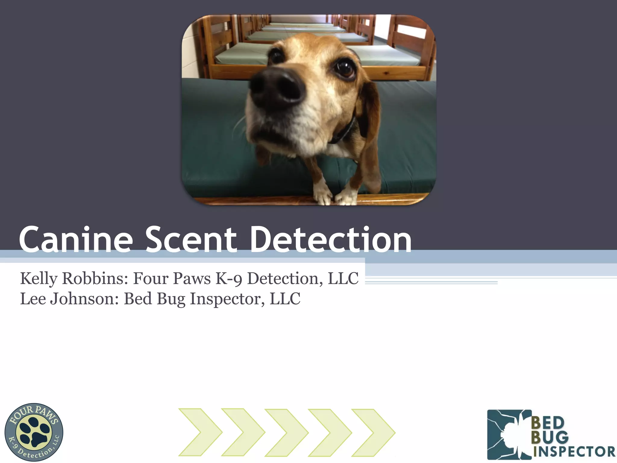 Bed Bug Scent Detection Canines PPT