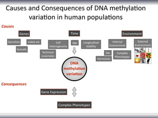 The role of DNA methylation in complex diseases | PDF