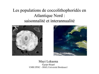 Les populations de coccolithophoridés en
Atlantique Nord :
saisonnalité et interannualité
Mayi Lekuona
Equipe Biopal
UMR EPOC – DGO, Université Bordeaux1
 