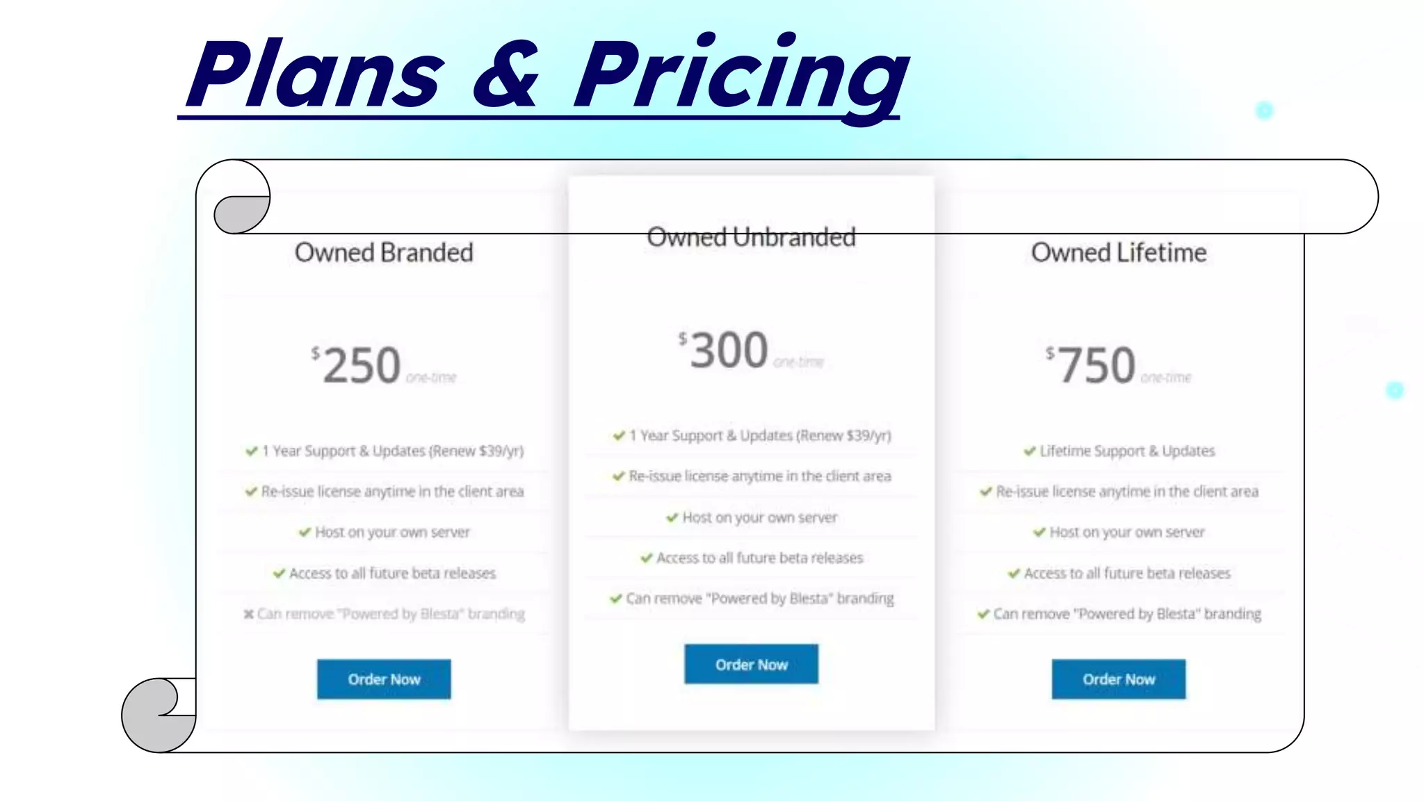 Plans & Pricing
 
