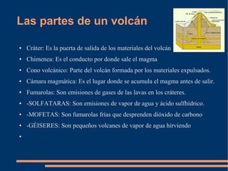 Las partes de un volcán

●   Cráter: Es la puerta de salida de los materiales del volcán
●   Chimenea: Es el conducto por donde sale el magma
●   Cono volcánico: Parte del volcán formada por los materiales expulsados.
●   Cámara magmática: Es el lugar donde se acumula el magma antes de salir.
●   Fumarolas: Son emisiones de gases de las lavas en los cráteres.
●   -SOLFATARAS: Son emisiones de vapor de agua y ácido sulfhídrico.
●   -MOFETAS: Son fumarolas frías que desprenden dióxido de carbono
●   -GÉISERES: Son pequeños volcanes de vapor de agua hirviendo
●
 