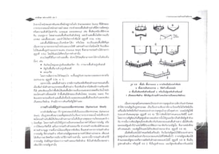 6. Biogas : Design and Construction Small Digester