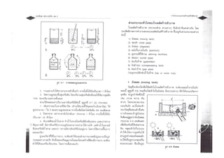 6. Biogas : Design and Construction Small Digester